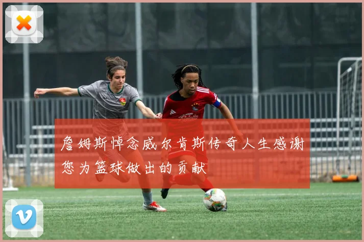 詹姆斯悼念威尔肯斯传奇人生感谢您为篮球做出的贡献