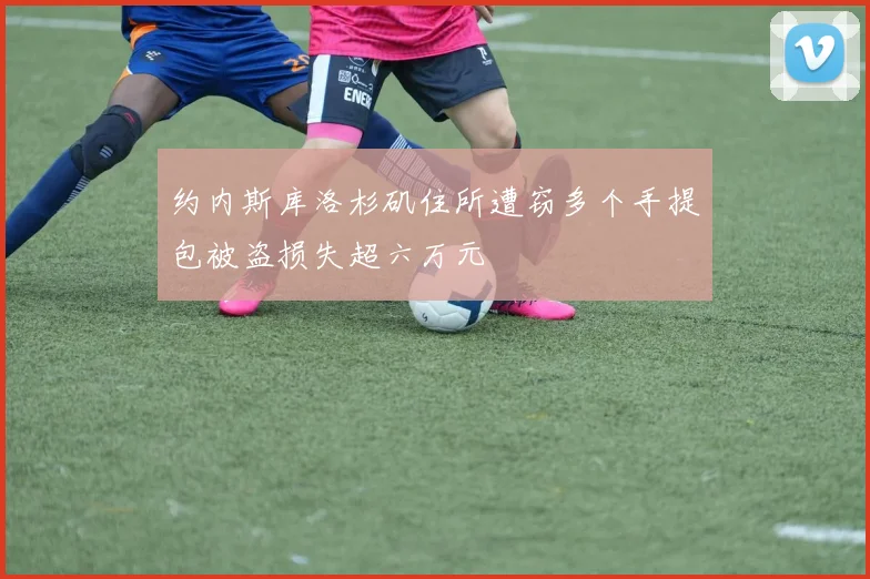 约内斯库洛杉矶住所遭窃多个手提包被盗损失超六万元