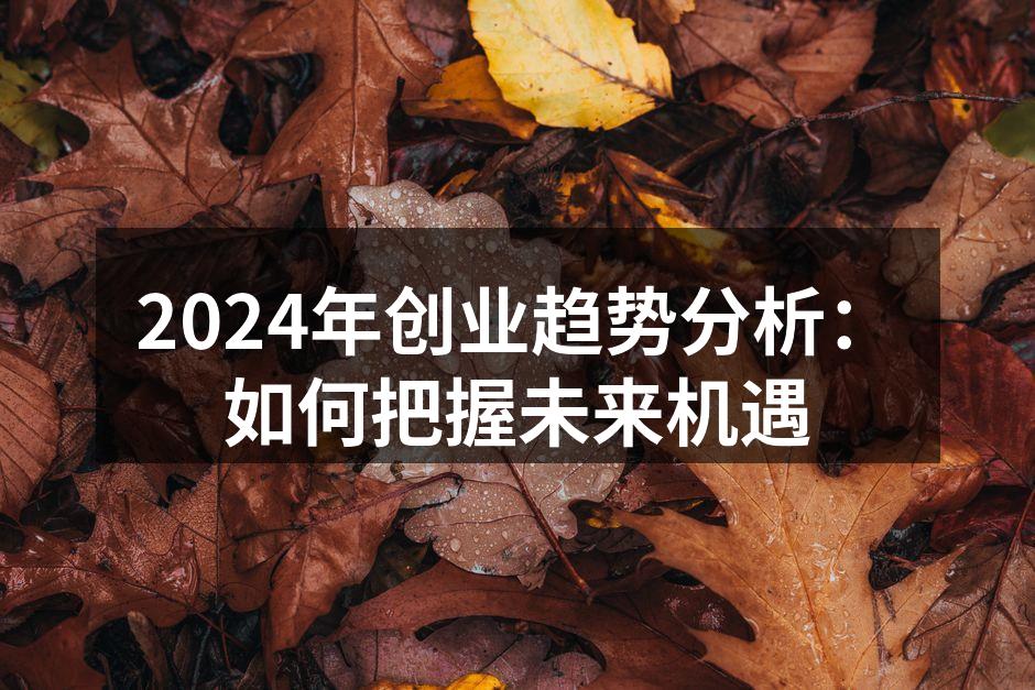 未来创业的无限可能